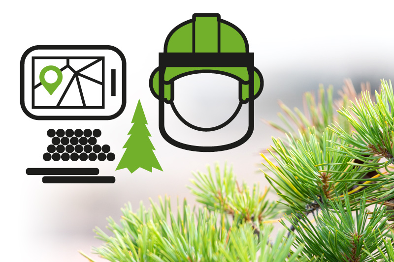 Etapio ForestKIT -metsätietojärjestelmän logon, ilmeen, nettisivujen & mark.materiaalien design & toteutus
